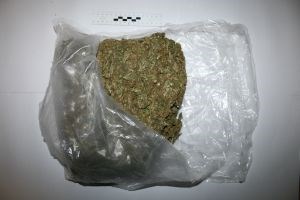 Slika PU_SD/marihuana 22.11..jpg